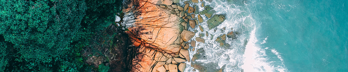 Photograph of a rock beach with sea and forestry.