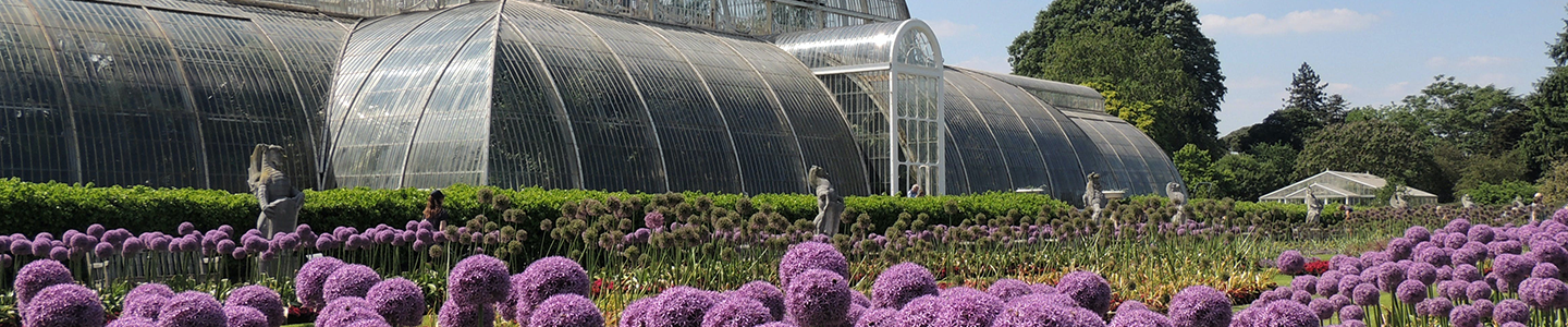 Photograph taken at Kew Gardens, showing a large glass greenhouse and a garden with purple flowers.