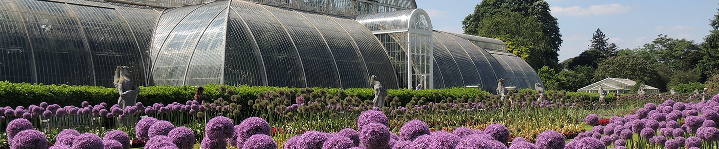 Photograph taken at Kew Gardens, showing a large glass greenhouse and a garden with purple flowers