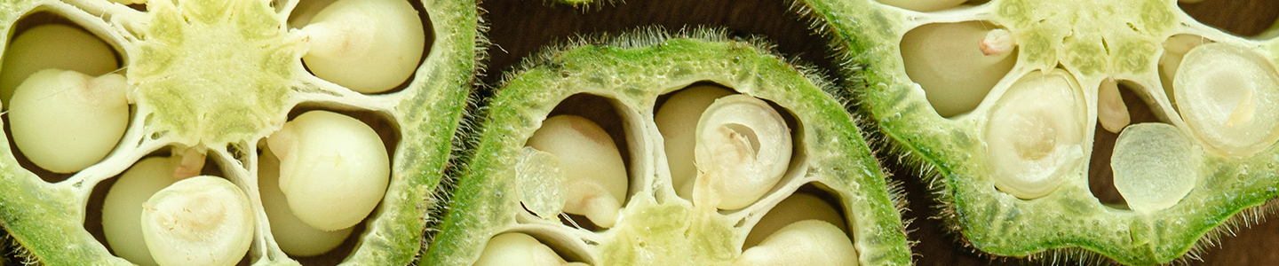 Zoomed-in photograph of 3 sliced chillis stacked in a row showing their seeds.