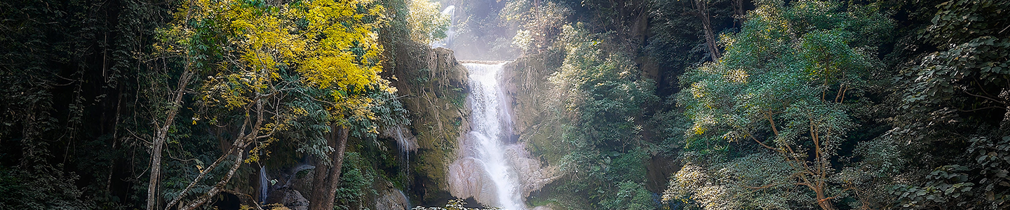 Photograph of a section of rainforest with trees and a waterfall.