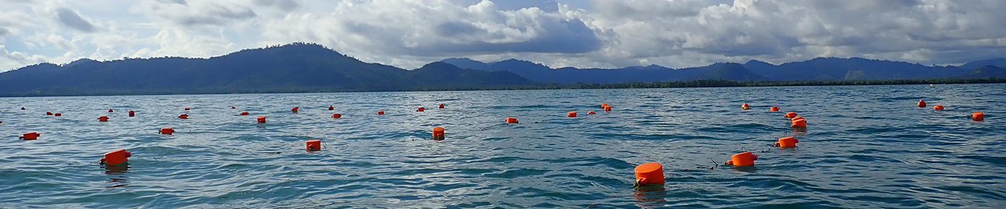 Photograph of buoys floating in a sea, taken in Vietnam.