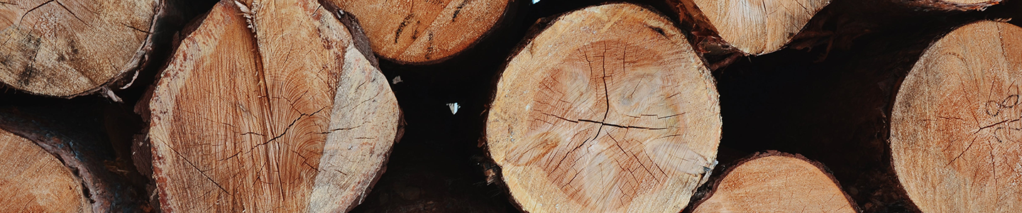 Photograph of stacked timber logs