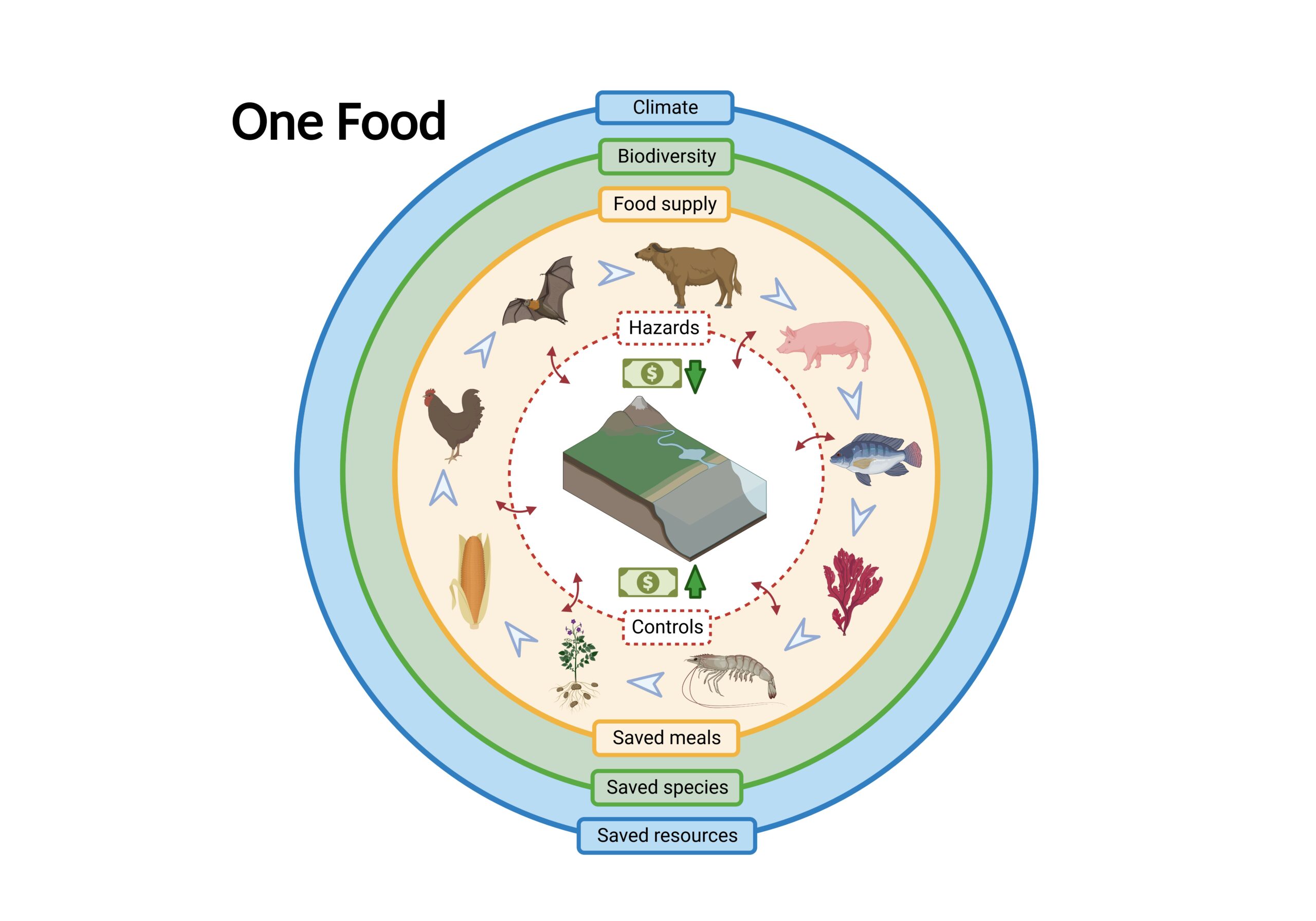 One food wheel diagram.