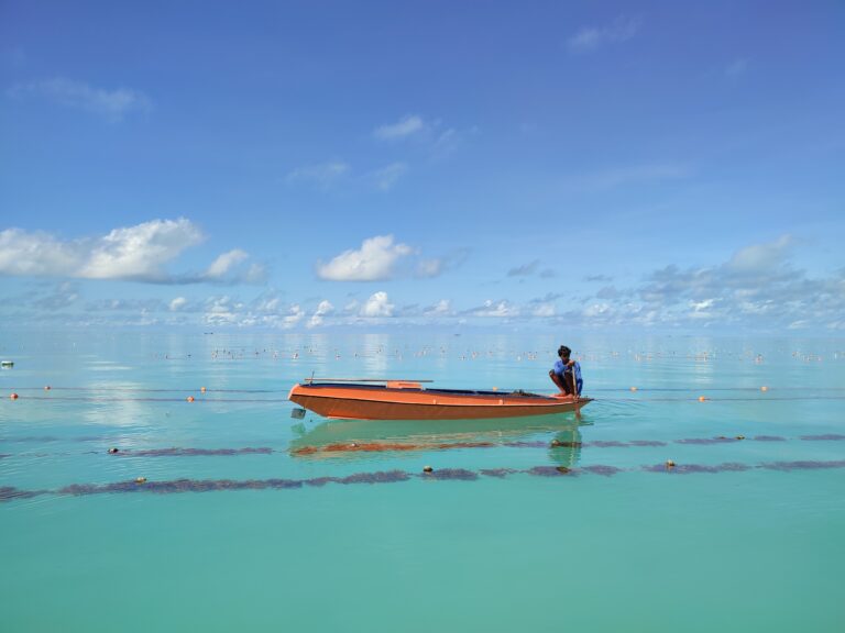 As avaliações globais das unidades populacionais de algas marinhas e das áreas marinhas protegidas oferecem oportunidades potenciais para proteger as algas selvagens