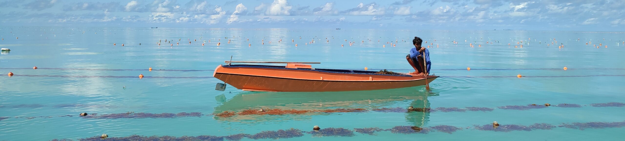 Global Seaweed Farming