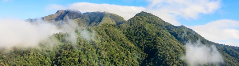 Primer Informe Técnico de Restauración